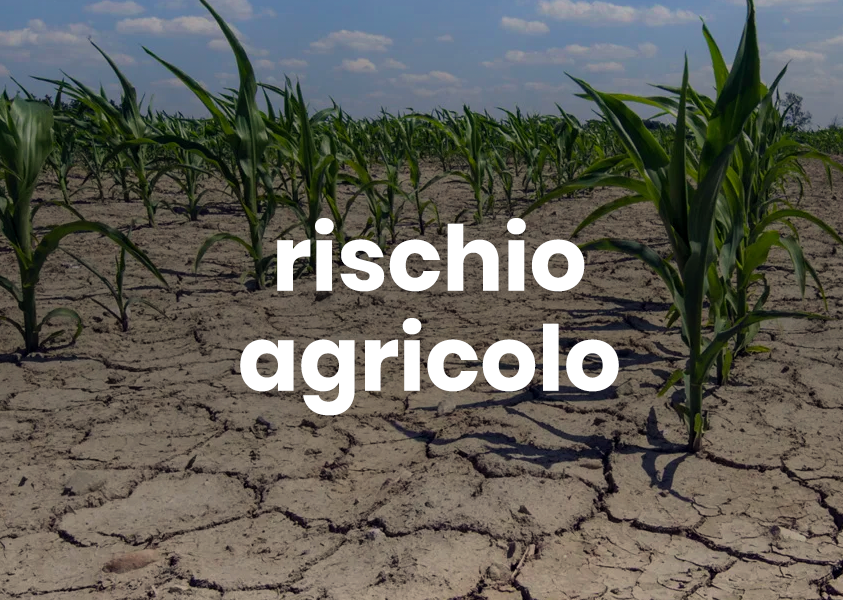 rischio agricolo